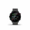 Garmin Forerunner 55 Monterra Grey Monterra hall