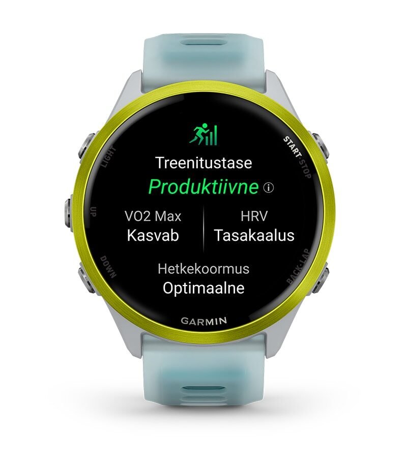 TREENITUSTASE