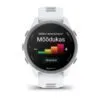 Garmin Forerunner 170 Hallikasvalge koos hallikasvalge/hallikassinise rihmaga