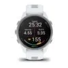 Garmin Forerunner 170 Hallikasvalge koos hallikasvalge/hallikassinise rihmaga