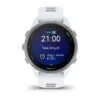 Garmin Forerunner 170 Hallikasvalge koos hallikasvalge/hallikassinise rihmaga