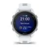 Garmin Forerunner 170 Hallikasvalge koos hallikasvalge/hallikassinise rihmaga