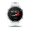 Garmin Forerunner 170 Music Hallikasvalge koos hallikasvalge/hallikassinise rihmaga