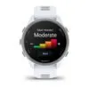 Garmin Forerunner 170 Music Hallikasvalge koos hallikasvalge/hallikassinise rihmaga