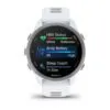 Garmin Forerunner 170 Music Hallikasvalge koos hallikasvalge/hallikassinise rihmaga